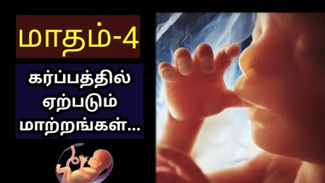 'Pregnancy 4th month baby development tamil | Pregnancy 4th month symptoms tamil |'