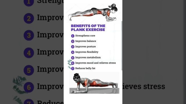 'plank exercise benefits'