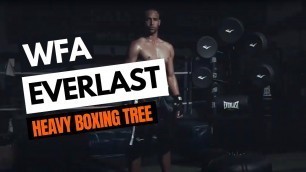 'Everlast Heavy Boxing Tree | WORLD FITNESS AUSTRALIA'