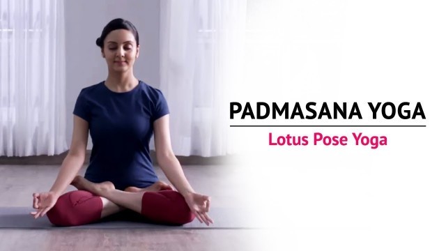 'Padmasana Yoga | Lotus Pose Yoga | Steps | Benefits | Yogic Fitness'