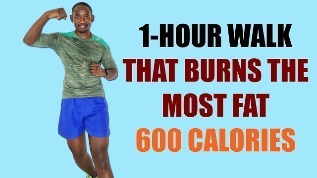 'FUN 1-Hour Walk at Home Workout that Burns the Most Fat 