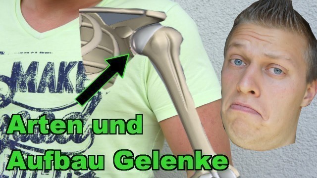 'Die Arten und der Aufbau der Gelenke - Prüfungsstoff für Fitnesstrainer B-Lizenz'