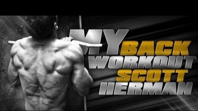 'My Back Workout- Scott Herman'