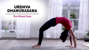 'Urdhva Dhanurasana Yoga | Chakrasana | Wheel Pose | Steps | Benefits | Yogic Fitness'