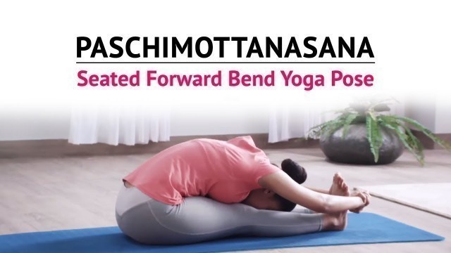 'Paschimottanasana | Seated Forward Bend Yoga Pose | Steps | Benefits | Yogic Fitness'