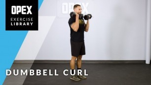 'Dumbbell Curl - OPEX Exercise Library'