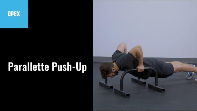 'Parallette Push Up - OPEX Exercise Library'