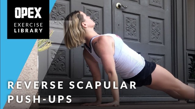 'Reverse Scapular Push Ups - OPEX Exercise Library'