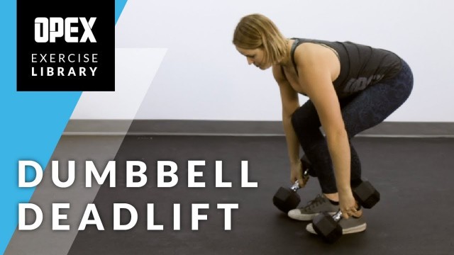 'Dumbbell Deadlift - OPEX Exercise Library'