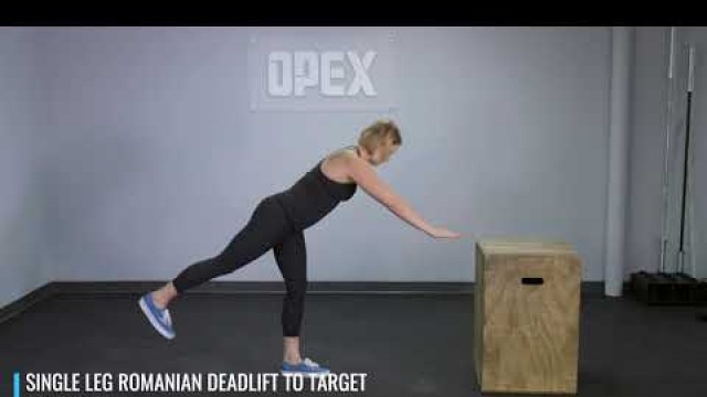 'Single Leg Romanian Deadlift to Target - OPEX Exercise Library'