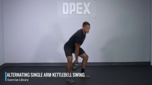 'Alternating Single Arm Kettlebell Swing - OPEX Exercise Library'