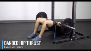 'Banded Barbell Hip Thrust - OPEX Exercise Library'