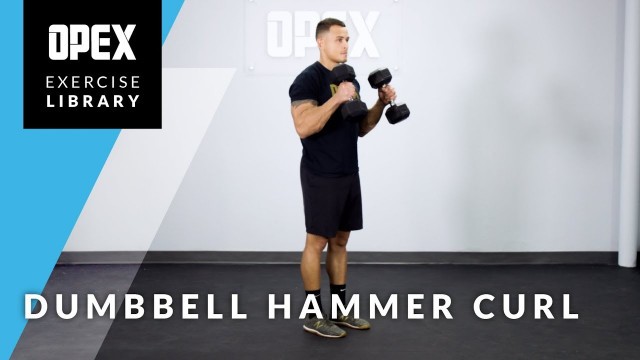 'Dumbbell Hammer Curl - OPEX Exercise Library'