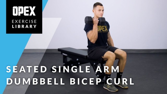 'Seated Single Arm Dumbbell Bicep Curl - OPEX Exercise Library'