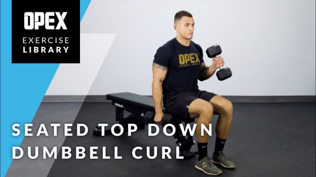 'Seated Top Down Dumbbell Curl - OPEX Exercise Library'