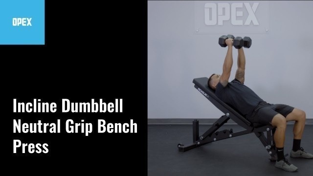 'Incline Dumbbell Neutral Grip Bench Press - OPEX Exercise Library'