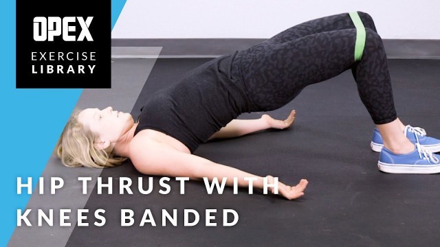 'Hip Thrust with Knees Banded - OPEX Exercise Library'