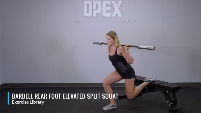 'Barbell Rear Foot Elevated Split Squat - OPEX Exercise Library'