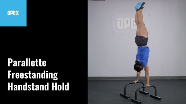 'Parallette Freestanding Handstand Hold - OPEX Exercise Library'