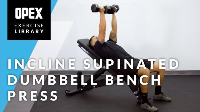 'Incline Supinated Dumbbell Bench Press - OPEX Exercise Library'