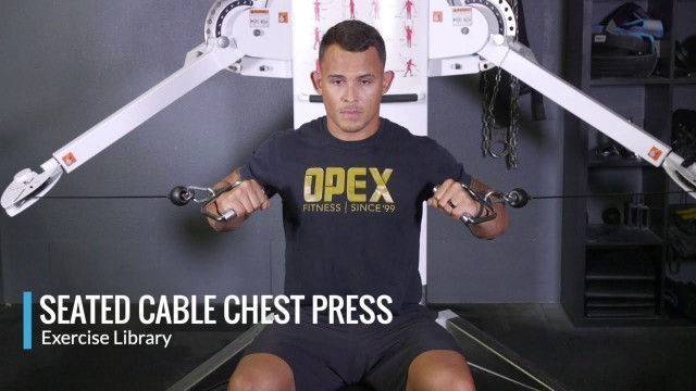 'Seated Cable Chest Press - OPEX Exercise Library'