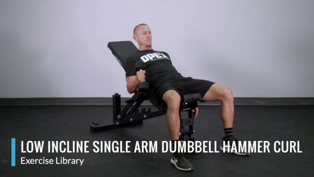 'Low Incline Single Arm Dumbbell Hammer Curl - OPEX Exercise Library'