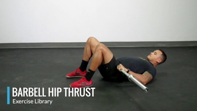 'Barbell Hip Thrust - OPEX Exercise Library'