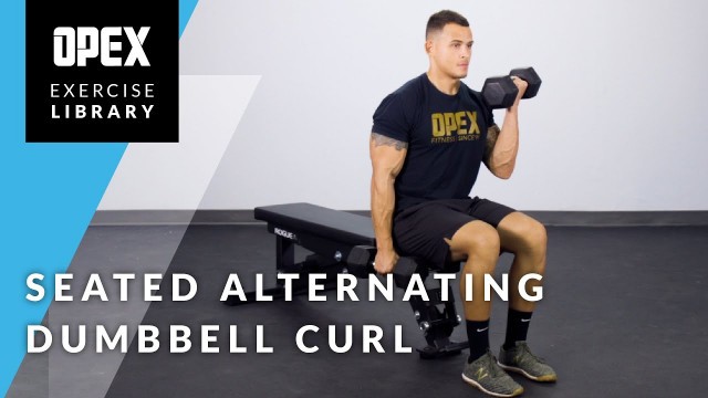 'Seated Alternating Dumbbell Curl - OPEX Exercise Library'