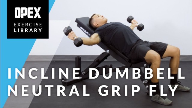 'Incline Dumbbell Neutral Grip Fly - OPEX Exercise Library'