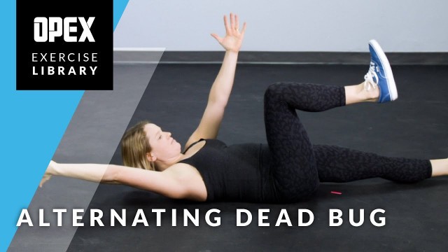 'Alternating Dead Bug - OPEX Fitness Library'