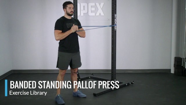 'Banded Standing Pallof Press - OPEX Exercise Library'