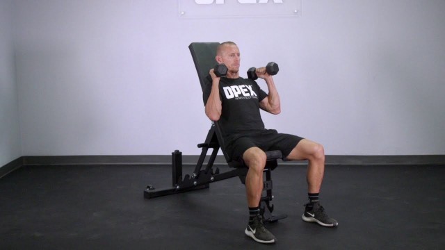 'Top Down Incline Dumbbell Curl - OPEX Exercise Library'