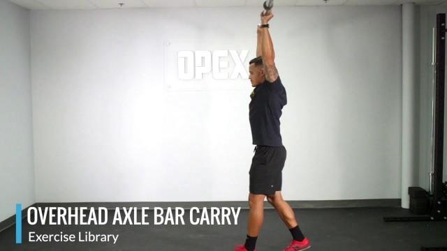 'Overhead Axle Bar Carry - OPEX Exercise Library'