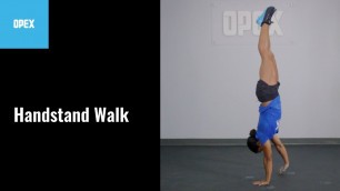 'Handstand Walk - OPEX Exercise Library'