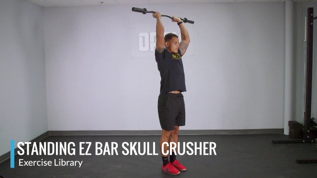 'Standing EZ Bar Skull Crusher - OPEX Exercise Library'