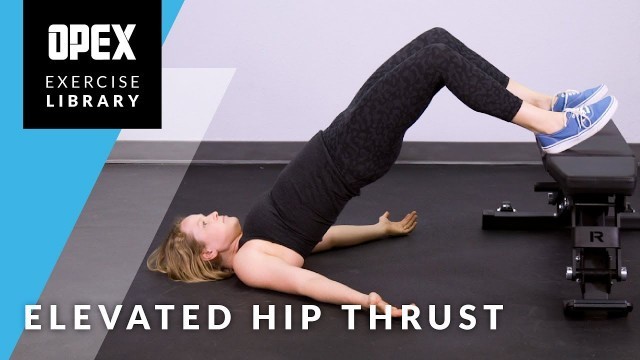 'Elevated Hip Thrust - OPEX Exercise Library'