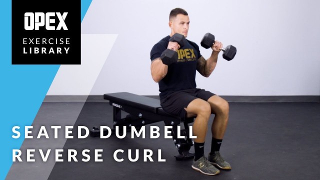 'Seated Dumbbell Reverse Curl - OPEX Exercise Library'