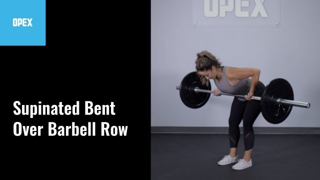 'Supinated Bent Over Barbell Row - OPEX Exercise Library'