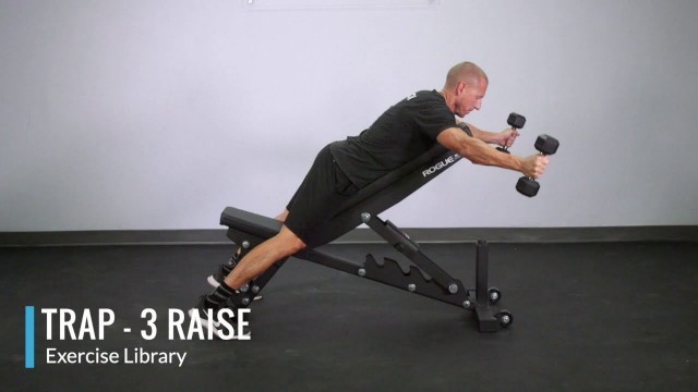 'Prone Trap 3 Raise - OPEX Exercise Library'