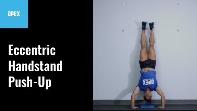 'Eccentric Handstand Push Up - OPEX Exercise Library'