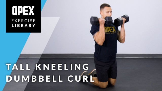 'Tall Kneeling Dumbbell Curl - OPEX Exercise Library'