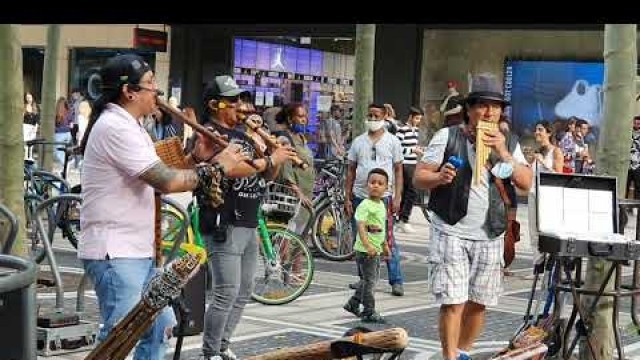 'Bansri | Flute | Musical Art | Imbaya  in Zeil Frankfurt'