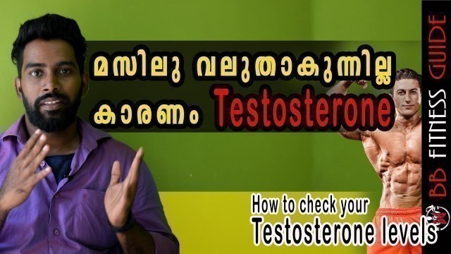 '|How to check Testosterone levels| Malayalam Video | Certified Fitness Trainer Bibin'