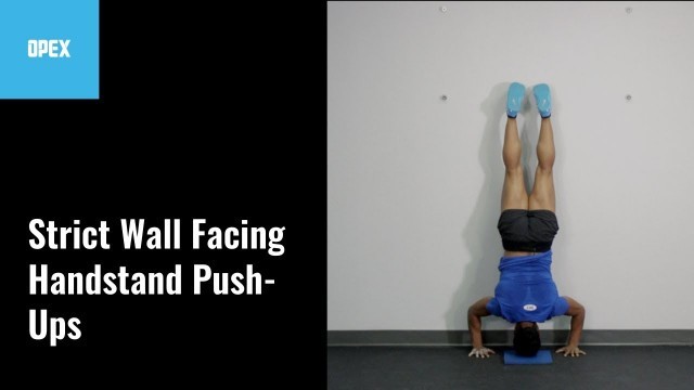 'Strict Wall Facing Handstand Push Ups - OPEX Exercise Library'