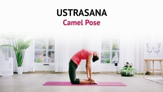 'How To Do Ustrasana - Camel Pose ? | Benefits | Steps | Yogic Fitness | Art of Living Yoga'