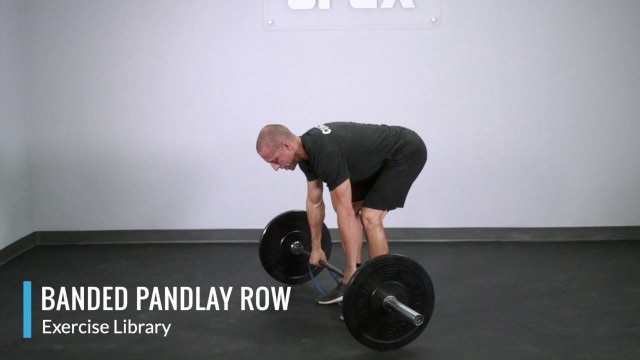 'Banded Pendlay Row - OPEX Exercise Library'