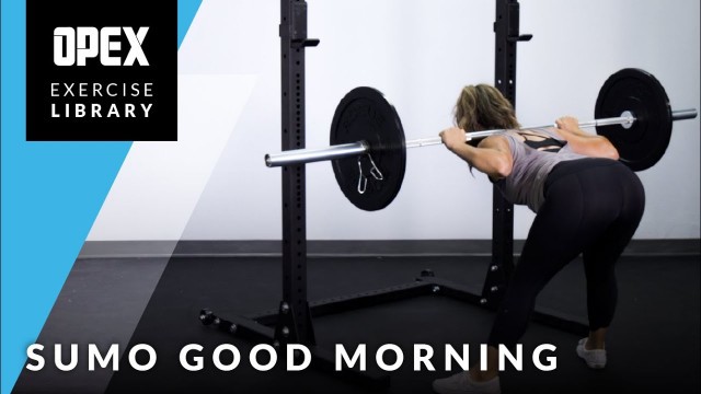 'Sumo Good Morning - OPEX Exercise Library'