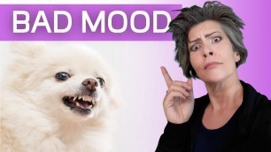 'BAD MOOD! Should You Exercise When you Feel Sad, Mad or Angry?'