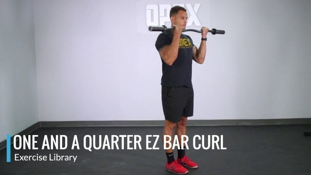 'One and a Quarter EZ Bar Curl - OPEX Exercise Library'