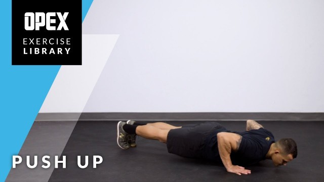 'Push Up - OPEX Exercise Library'